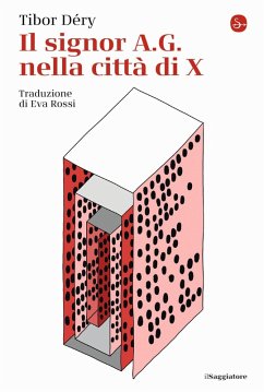 Cover Il signor A.G. nella città di X