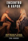 Encontro a Vapor (eBook, ePUB)