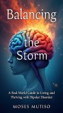 Balancing the Storm (eBook, ePUB)
