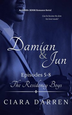 Cover Damian & Jun Episodes 5-8 (The Residency Boys, #6) (eBook, ePUB)