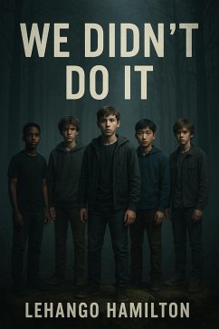Cover We Didn't Do It (eBook, ePUB)