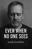 Even When No One Sees (eBook, ePUB)