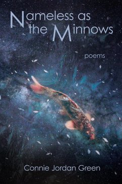 Cover Nameless as the Minnows (eBook, ePUB)