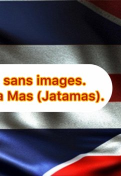 Cover L'illustre Balai Sans Images. (eBook, ePUB)