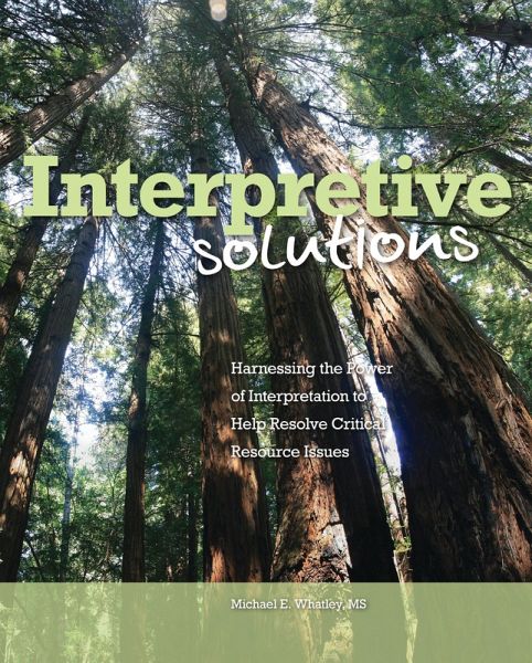 Interpretive Solutions (eBook, ePUB)