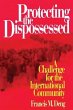 Protecting the Dispossessed (eBook,... - Bild 1