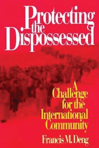 Protecting the Dispossessed (eBook, ePUB)