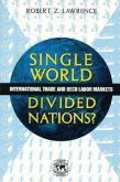 Single World, Divided Nations? (eBook, ePUB)