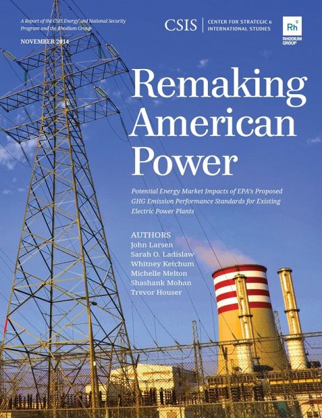 Remaking American Power (eBook, PDF)