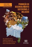 Promoção do Desenvolvimento Sustentável e Inclusivo (eBook, ePUB)