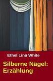 Silberne Nägel: Erzählung (eBook, ePUB)