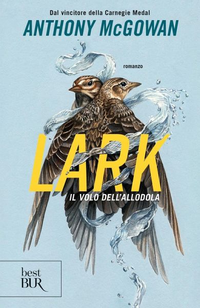Lark. Il volo dell'allodola Lark. Il volo dell'allodola