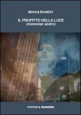 Il profitto della luce. Memoriae aedes Il profitto della luce. Memoriae aedes