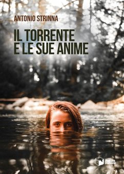 Cover Il torrente e le sue anime