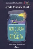 Non è colpa della pioggia Non è colpa della pioggia