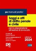 Saggi e atti di diritto penale e civile. Per la preparazione all'esame di avvocato 2024