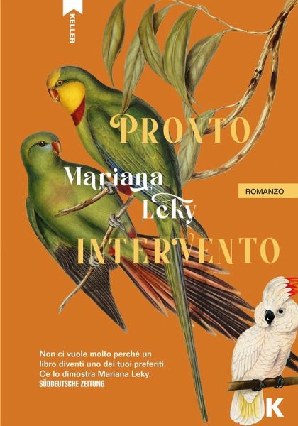 Pronto intervento Pronto intervento