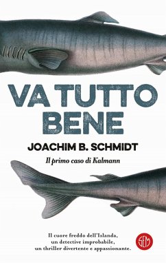 Cover Va tutto bene. Il primo caso di Kalmann