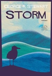 Cover Storm