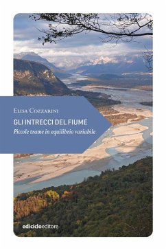 Gli intrecci del fiume. Piccole trame in equilibrio variabile - Cozzarini, Elisa