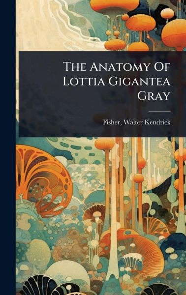 The Anatomy Of Lottia Gigantea Gray