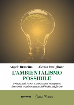 L' ambientalismo possibile. Green Deal, PNRR e transizione energetica: la grande trasformazione dell'Italia del futuro - Postiglione, Alessio; Bruscino, Angelo