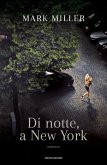 Di notte, a New York Di notte, a New York