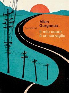 Cover Il mio cuore è un serraglio