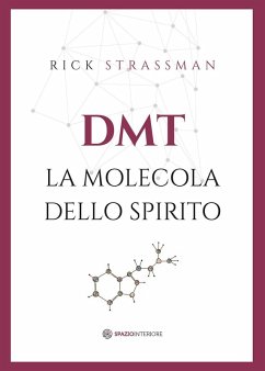 Cover DMT. La molecola dello spirito