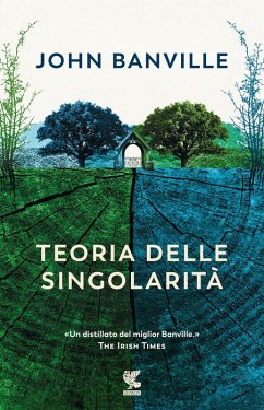 Cover Teoria delle singolarità