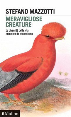 Cover Meravigliose creature. La diversità della vita come non la conosciamo