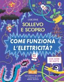 Come funziona l'elettricità? Come funziona l'elettricità?