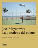 La questione del colore La questione del colore