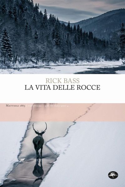 La vita delle rocce La vita delle rocce