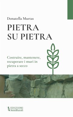 Cover Pietra su pietra. Costruire, mantenere, recuperare i muri in pietra a secco