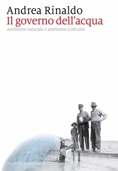 Il governo dell'acqua. Ambiente naturale e ambiente ricostruito - Rinaldo, Andrea Il governo dell'acqua. Ambiente naturale e ambiente ricostruito - Rinaldo, Andrea