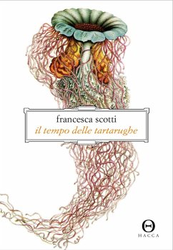 Cover Il tempo delle tartarughe