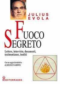 Cover Fuoco segreto. Lettere, interviste, documenti, testimonianze, inediti