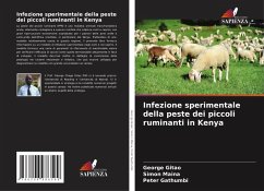 Infezione sperimentale della peste dei piccoli ruminanti in Kenya - Gitao, George Chege;Maina, Simon;Gathumbi, Peter