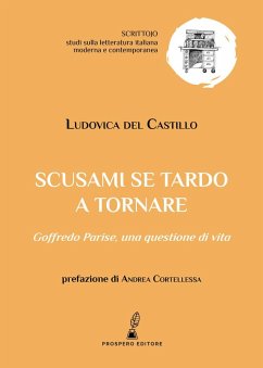 Cover Scusami se tardo a tornare. Goffredo Parise: una questione di vita