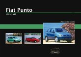 Fiat Punto. 1993-1999 Fiat Punto. 1993-1999