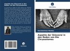 Aspekte der Sklaverei in den Reden von Dio Chrysostomos