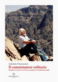 Il camminatore solitario. Damiano Cosenza: 24.272 km a piedi per le strade del mondo Il camminatore solitario. Damiano Cosenza: 24.272 km a piedi per le strade del mondo