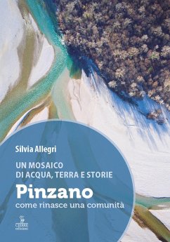 Un mosaico di acqua, terra e storie. Pinzano, come rinasce una comunità - Allegri, Silvia