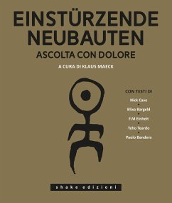 Cover Einstürzende Neubauten. Ascolta con dolore