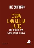 C'era una volta la DC. Una storia tra chiesa, popolo, mafia
