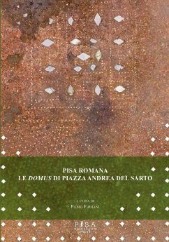 Cover Pisa romana. Le domus di piazza Andrea del Sarto