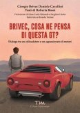 Brivec, cosa ne pensa di questa GT? Dialogo tra un collaudatore e un appassionato di motori Brivec, cosa ne pensa di questa GT? Dialogo tra un collaudatore e un appassionato di motori