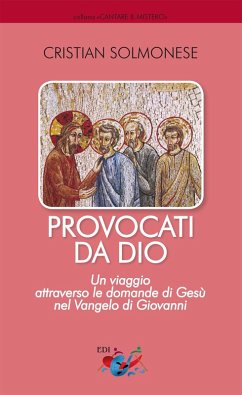 Provocati da Dio. Un viaggio attraverso le domande di Gesù nel Vangelo di Giovanni - Solmonese, Cristian