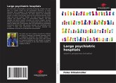 Large psychiatric hospitals